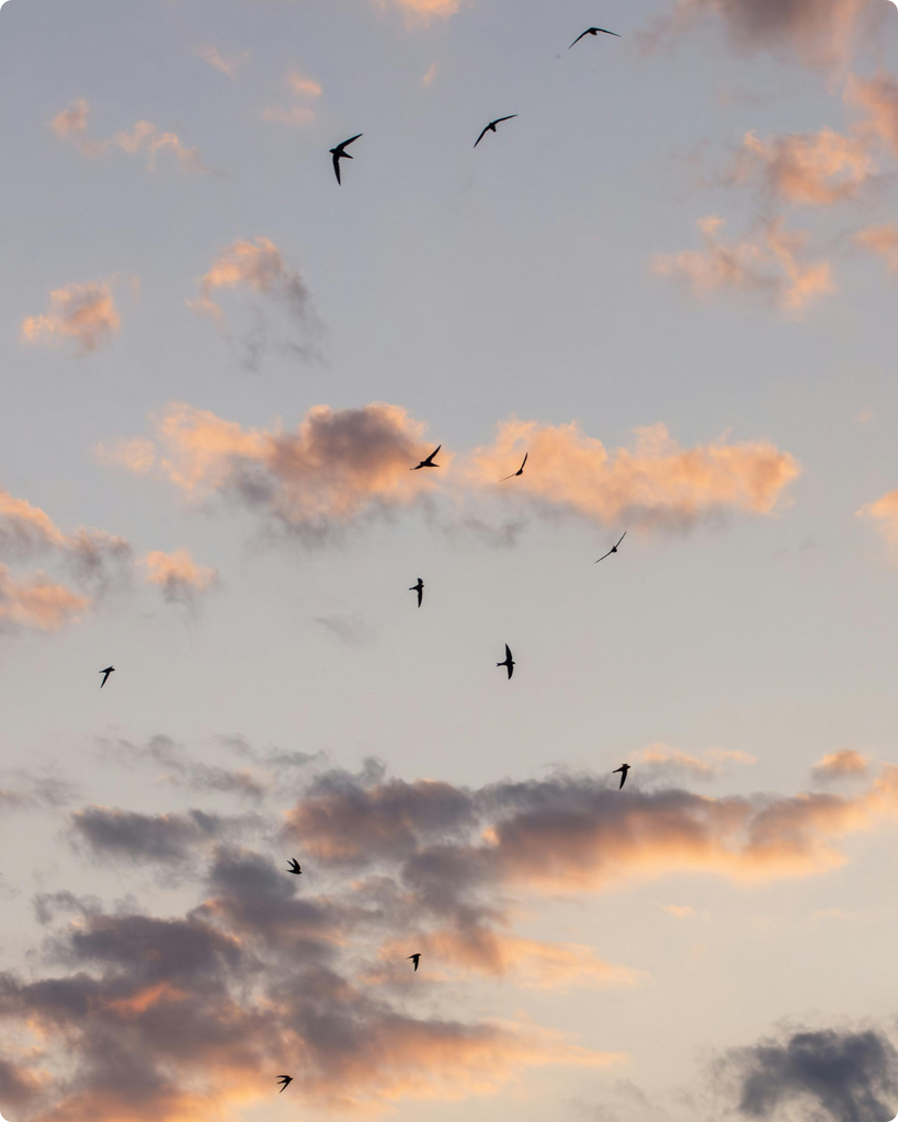 إتــــــزان 1 